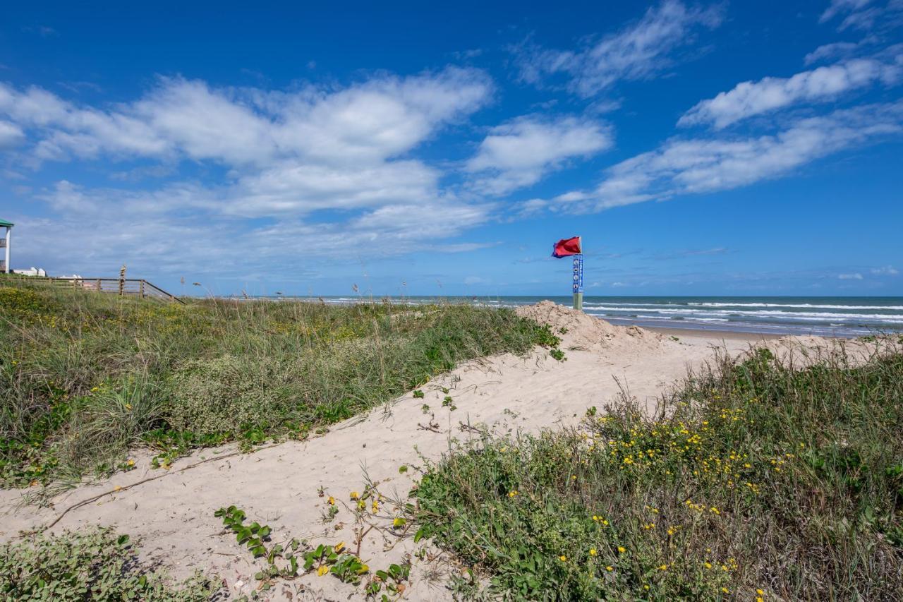Kingfisher South Padre Island Ngoại thất bức ảnh